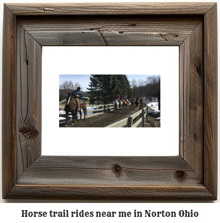 horse trail rides near me in Norton, Ohio